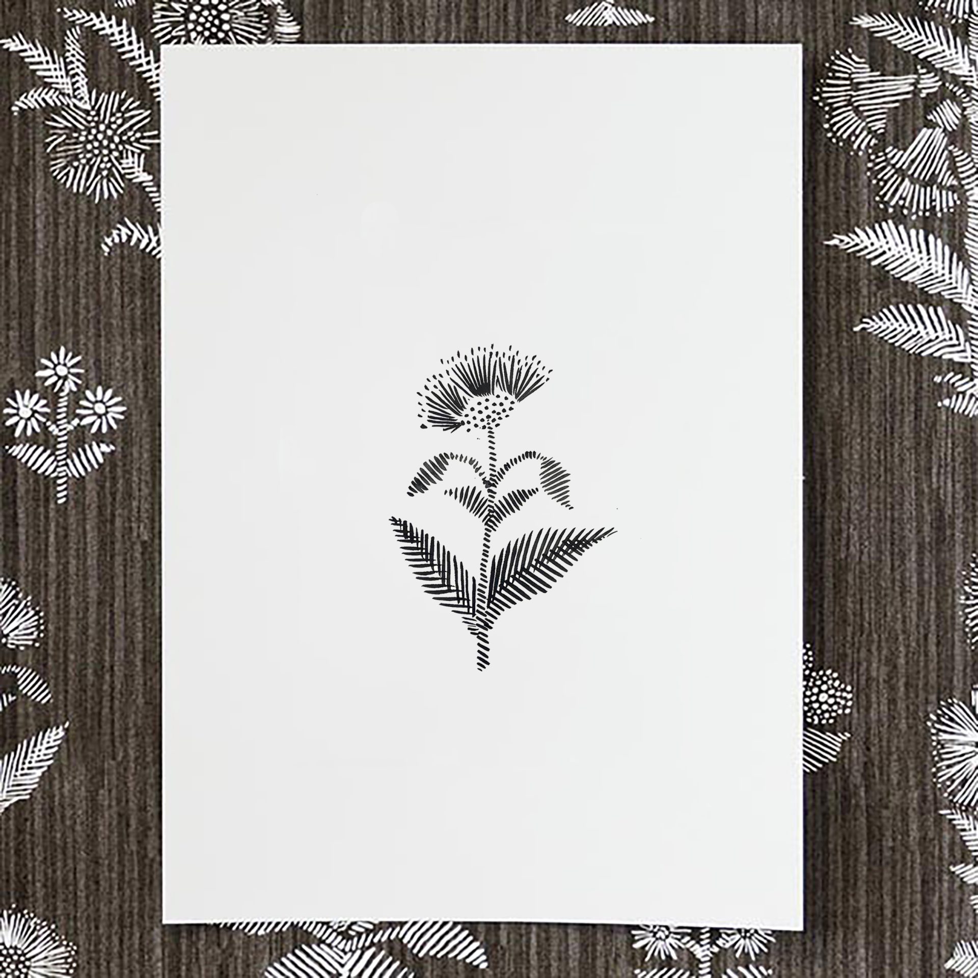 BOTANICAL DRAWING #2