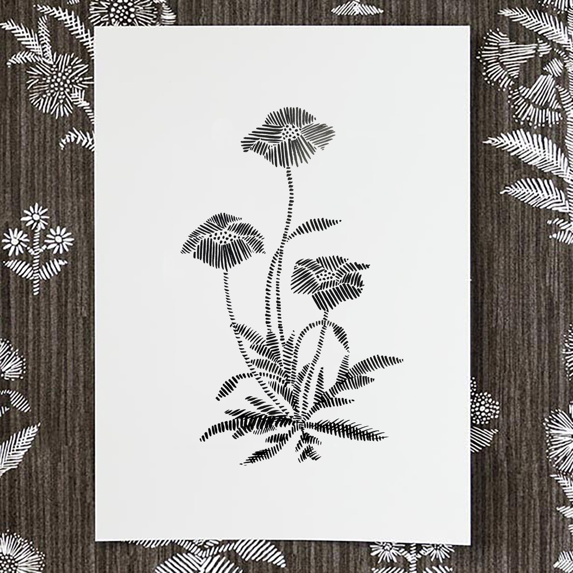 BOTANICAL DRAWING #6