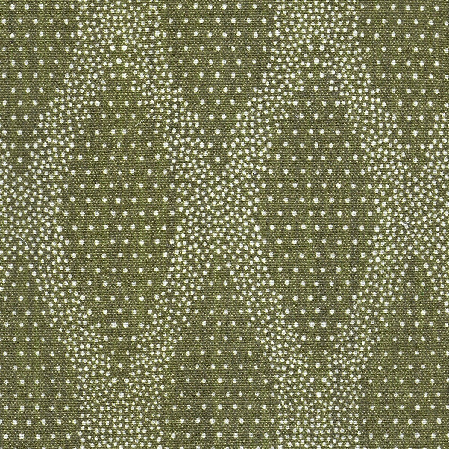 OGEE DOT | OLIVE