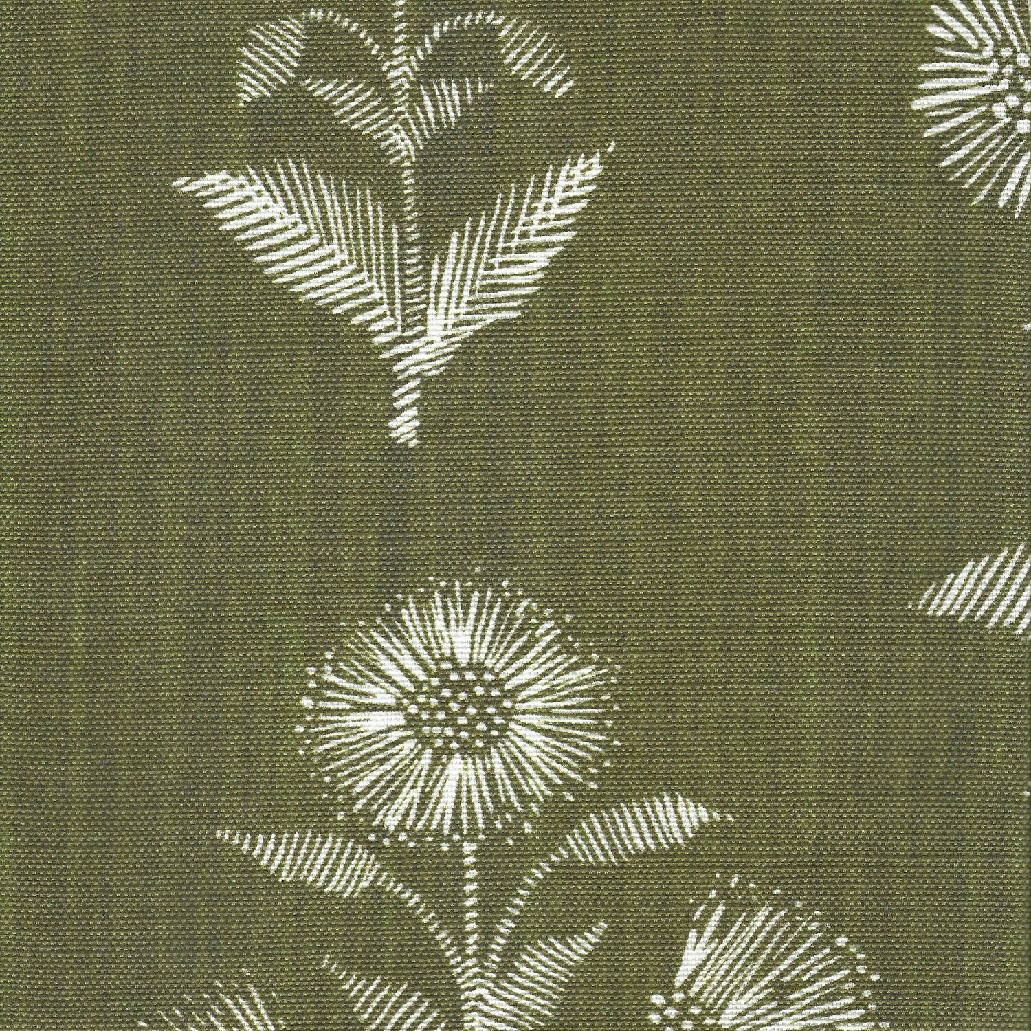 HARWICK BOTANICAL | OLIVE